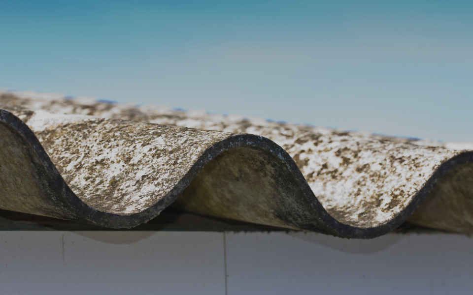 Asbestos Consultancy Image 2