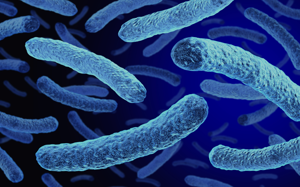 Legionella Risk Assessment Image 2