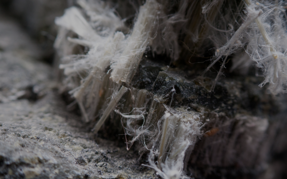 Asbestos Management Image 2